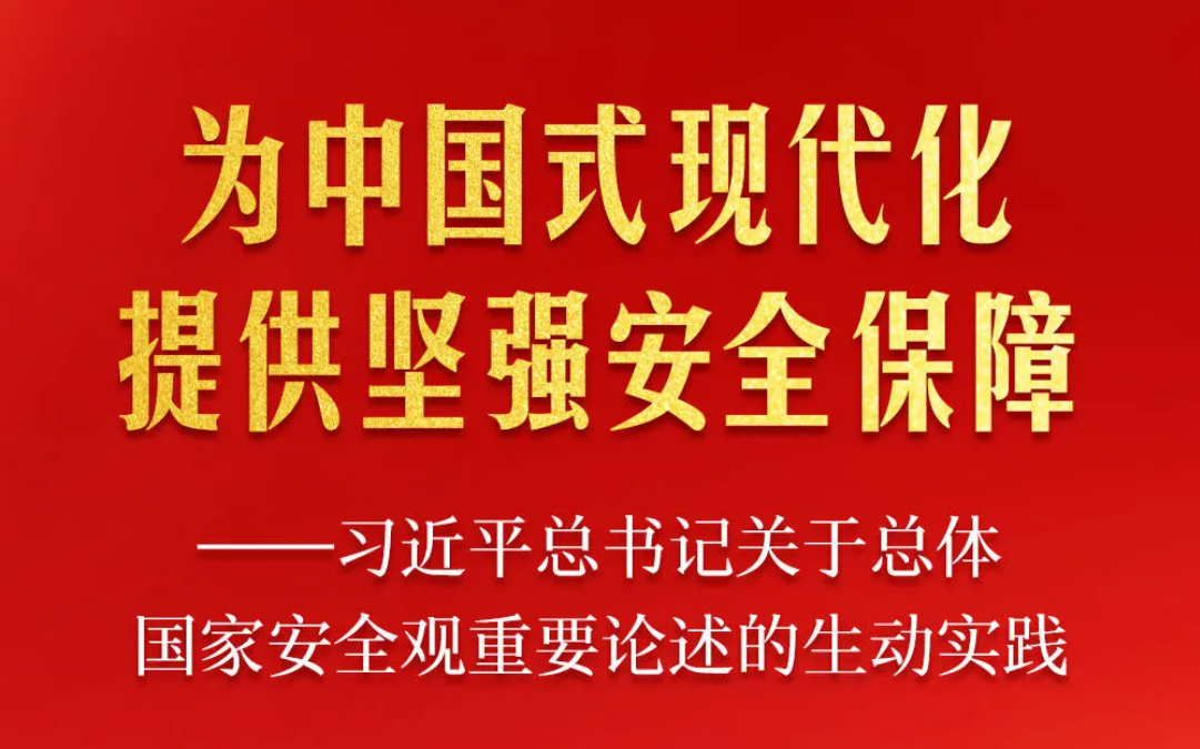 学习路上|为中国式现代化提供坚强安全保障——习近平总书记关于总体国家安全观重要论述的生动实践