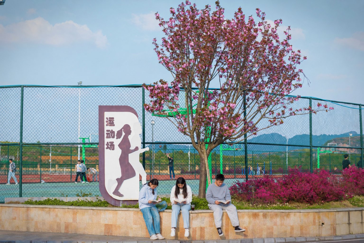 学校概况