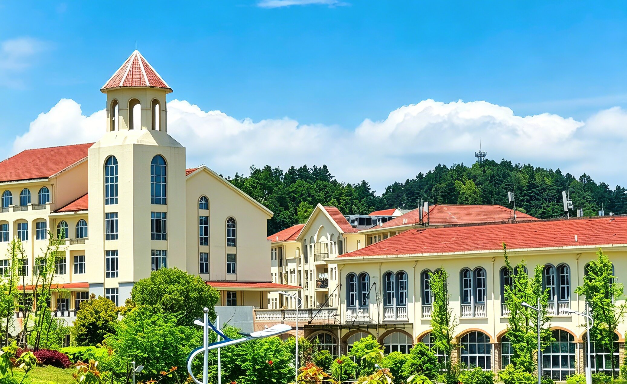 学校概况